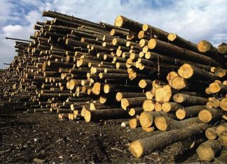 Québec investit plus de 7 M$ pour soutenir Chantiers Chibougamau Québec investit plus de 7 M$ pour soutenir Chantiers Chibougamau