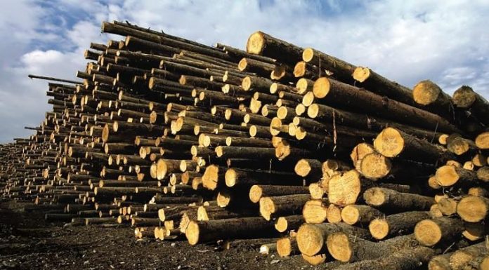 Québec investit plus de 7 M$ pour soutenir Chantiers Chibougamau Québec investit plus de 7 M$ pour soutenir Chantiers Chibougamau