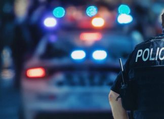 La police réussit à récupérer 53 véhicules volés au port de Montréal lors d’une vaste opération La police réussit à récupérer 53 véhicules volés au port de Montréal lors d'une vaste opération