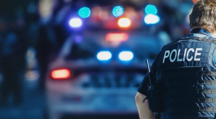 La police réussit à récupérer 53 véhicules volés au port de Montréal lors d’une vaste opération La police réussit à récupérer 53 véhicules volés au port de Montréal lors d'une vaste opération