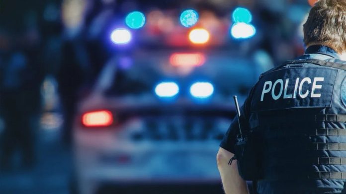 La police réussit à récupérer 53 véhicules volés au port de Montréal lors d'une vaste opération