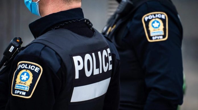 Deux individus appréhendés par le SPVM suite à une enquête en cours Deux individus appréhendés par le SPVM suite à une enquête en cours