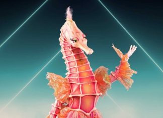 Fabienne Larouche Révélée comme l’Hippocampe dans Chanteurs Masqués : Une Surprise Inattendue ! Fabienne Larouche Révélée comme l'Hippocampe dans Chanteurs Masqués : Une Surprise Inattendue !