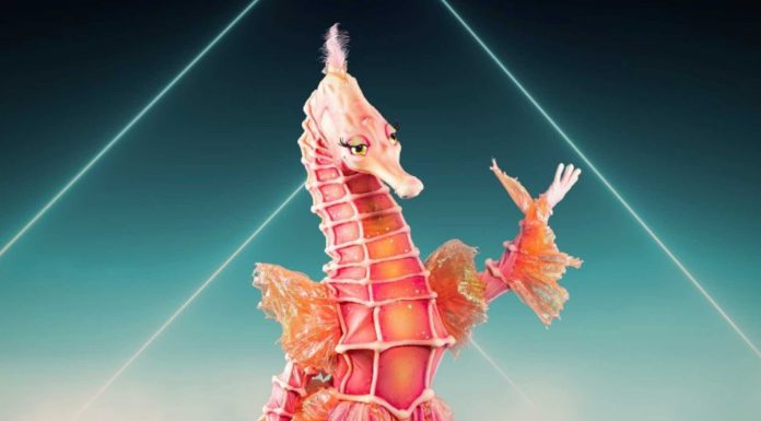 Fabienne Larouche Révélée comme l’Hippocampe dans Chanteurs Masqués : Une Surprise Inattendue ! Fabienne Larouche Révélée comme l'Hippocampe dans Chanteurs Masqués : Une Surprise Inattendue !