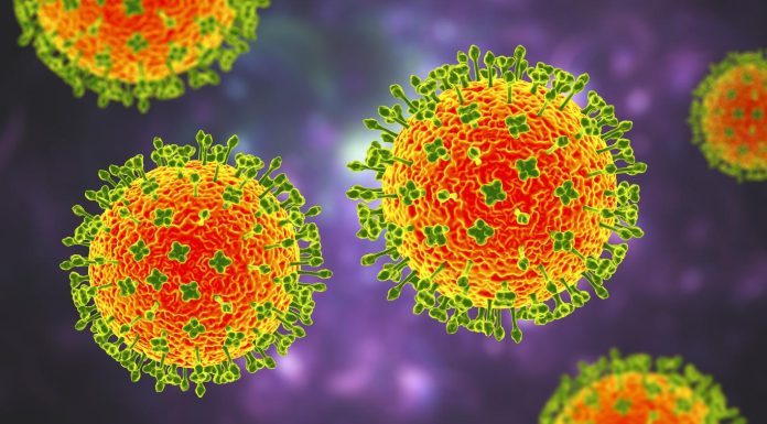 Le virus Nipah : Une menace potentielle pour une future pandémie ? Le virus Nipah : Une menace potentielle pour une future pandémie ?