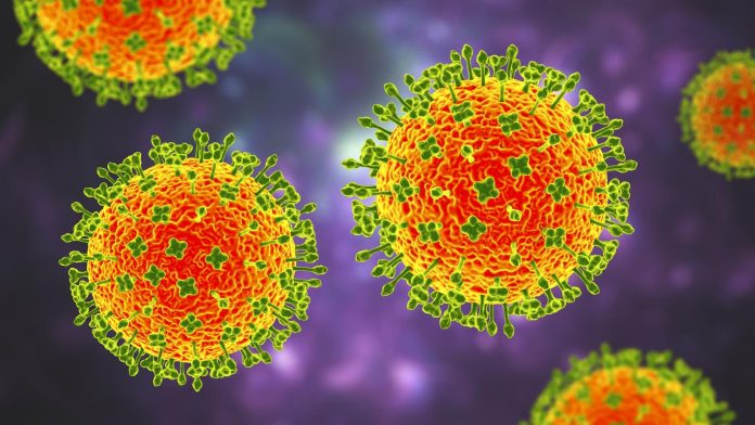 Le virus Nipah : Une menace potentielle pour une future pandémie ?