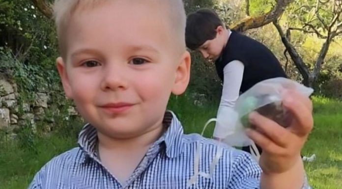 Mystère autour de la disparition d’Émile, 2 ans : Où a-t-il été vu pour la dernière fois ? Mystère autour de la disparition d'Émile, 2 ans : Où a-t-il été vu pour la dernière fois ?