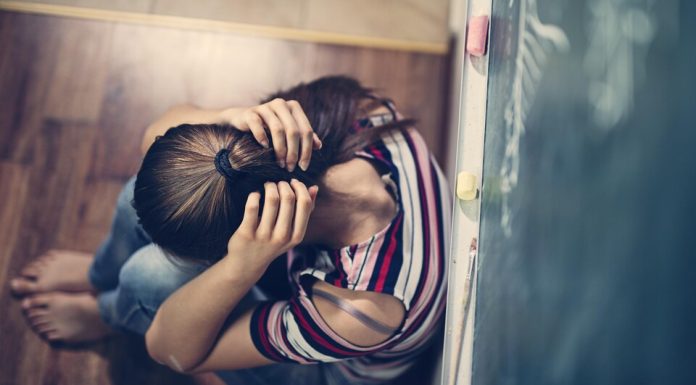 Création d’un plan pour mettre fin à la violence sexiste Création d’un plan pour mettre fin à la violence sexiste